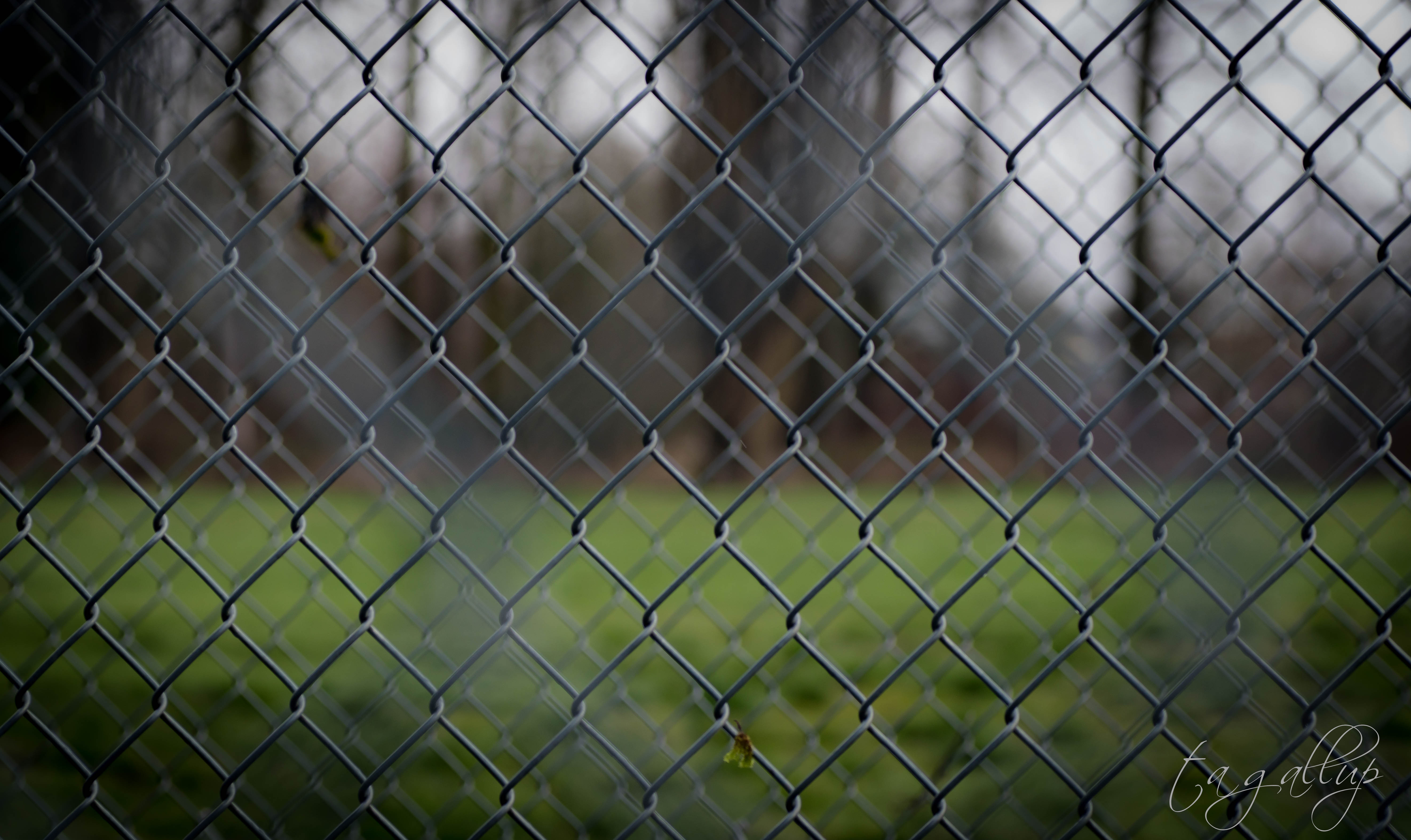 fence-5584